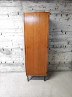 Vintage Cupboard/bonnetière