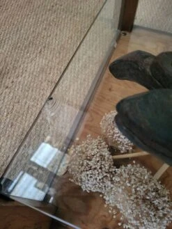 Old Oak Counter Display Case -Bookcases Sales 4a73019f 7183 4e5c a157 e0e3f07fbd3b