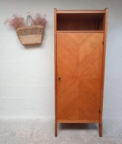 Wing-shaped Locker Cabinet From The 1950s -Bookcases Sales 4b2e8c05 4b32 4fbc 9d64 3081edce3276