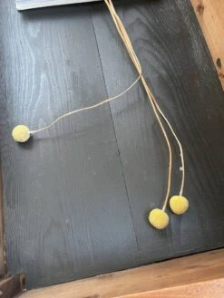 1950s Display Side Table -Bookcases Sales 5b81b87c f469 4497 b8eb 495fda85fc7a