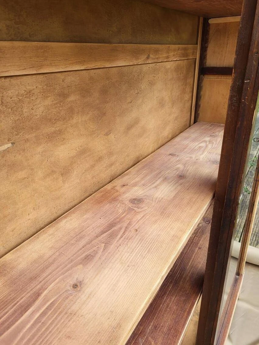 Natural History Museum Showcase 4 Natural History Museum Showcase - Image 4