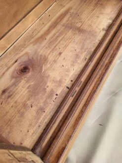 Natural History Museum Showcase 27 Natural History Museum Showcase -Bookcases Sales 7fa444e2 8b3d 4416 91c9 57cb95929fa1