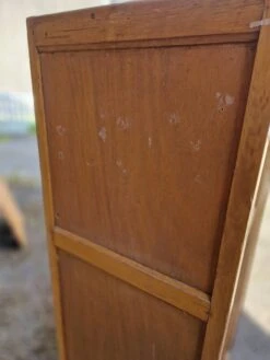 Parisian Style School Cupboard 1970