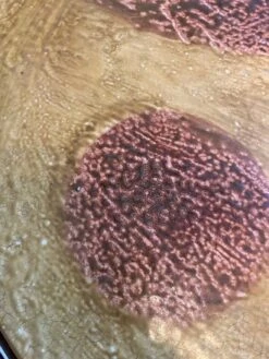 Resin Coffee Table, 70 -Bookcases Sales 9749b499 1a00 4432 8b8b 365dcdff639b