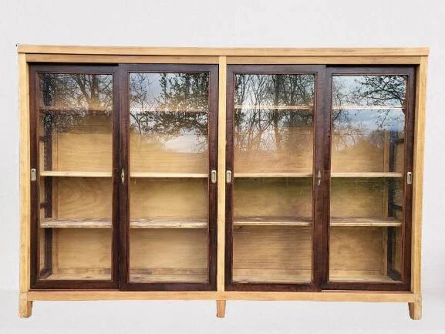 Natural History Museum Showcase 19 Natural History Museum Showcase - Image 19