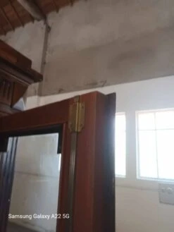 Louis Philippe Period Walnut Library Showcase 35 Louis Philippe Period Walnut Library Showcase -Bookcases Sales b04088a1 1f82 411f 87ec 2fd319cc5048