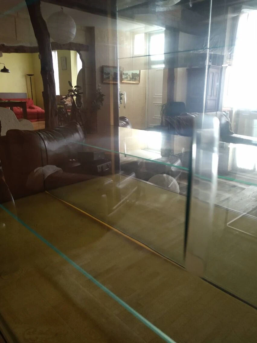 Vintage Display Cabinet From The 60s 2 Vintage Display Cabinet From The 60s - Image 2