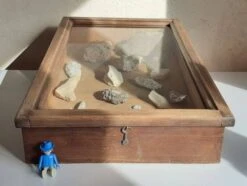 Old Sloping Fir Display Case -Bookcases Sales b563d057 2cb7 4c8c a9f5 1b8cbf18622d