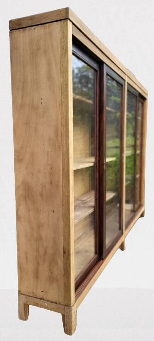 Natural History Museum Showcase 5 Natural History Museum Showcase - Image 5