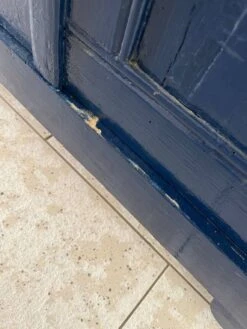 Old Parisian Wardrobe Painted In Midnight Blue -Bookcases Sales d1708d7e fc53 40fb a251 b3299ed83b34