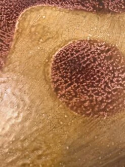 Resin Coffee Table, 70