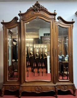 Louis XV Rocaille Style Library Cabinet In Walnut Circa 1850-1880 -Bookcases Sales d809f81a 8673 4cb4 843d 849507905273