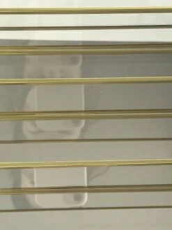 Showcase For Miniatures Or Vintage Golden Jewelry -Bookcases Sales db1fa88a 3733 4c0e a488 a95859185dd5