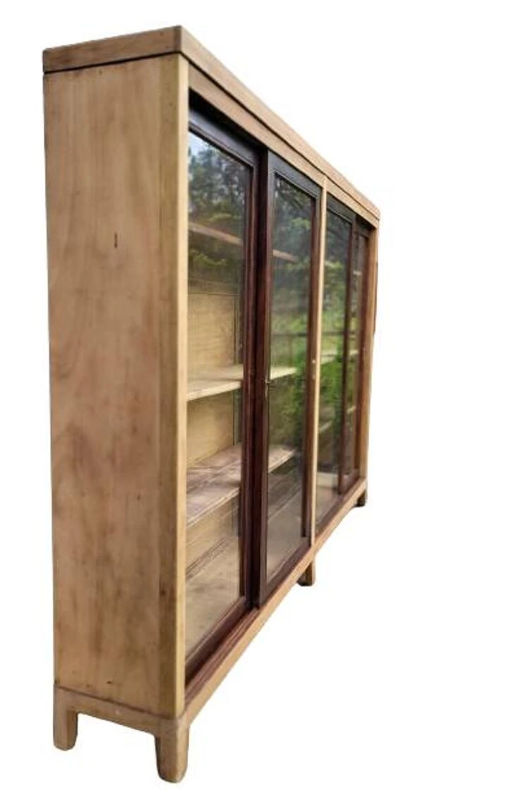 Natural History Museum Showcase 10 Natural History Museum Showcase - Image 10