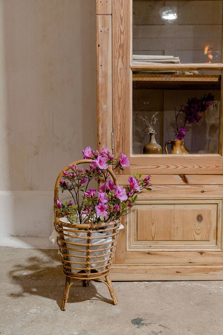 Vintage Wooden Workshop Display Case “Catherine” 14 Vintage Wooden Workshop Display Case “Catherine” - Image 14