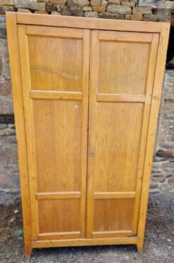 Parisian Style School Cupboard 1970 -Bookcases Sales ea25636e 8762 4100 aed5 9f3597cb8d90