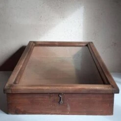 Old Sloping Fir Display Case -Bookcases Sales f04a4a38 de92 4f77 8e2a 81e20c2d97a4